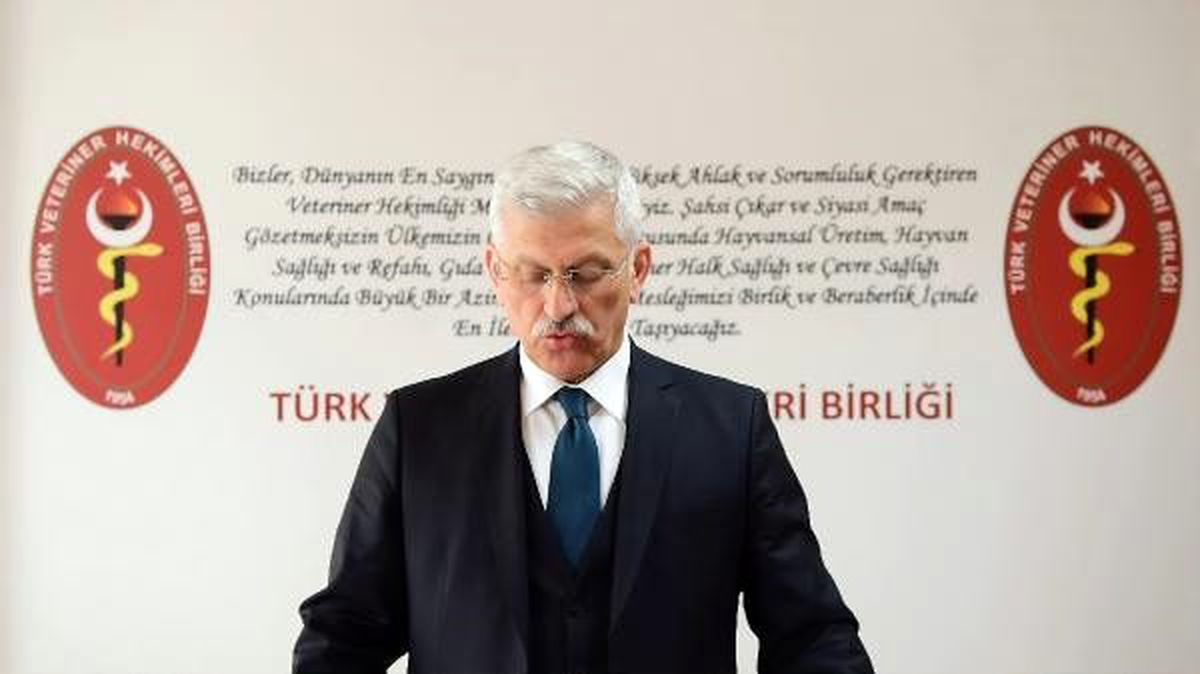 \'Mesleki faaliyet alanlarımız arttı\'