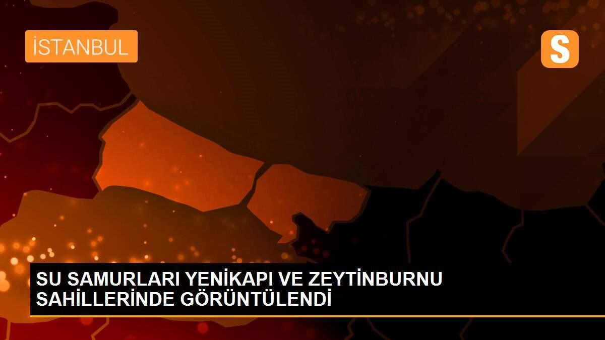 SU SAMURLARI YENİKAPI VE ZEYTİNBURNU SAHİLLERİNDE GÖRÜNTÜLENDİ