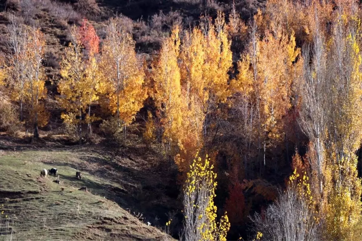 Bitlis\'ten sonbahar güzelliği