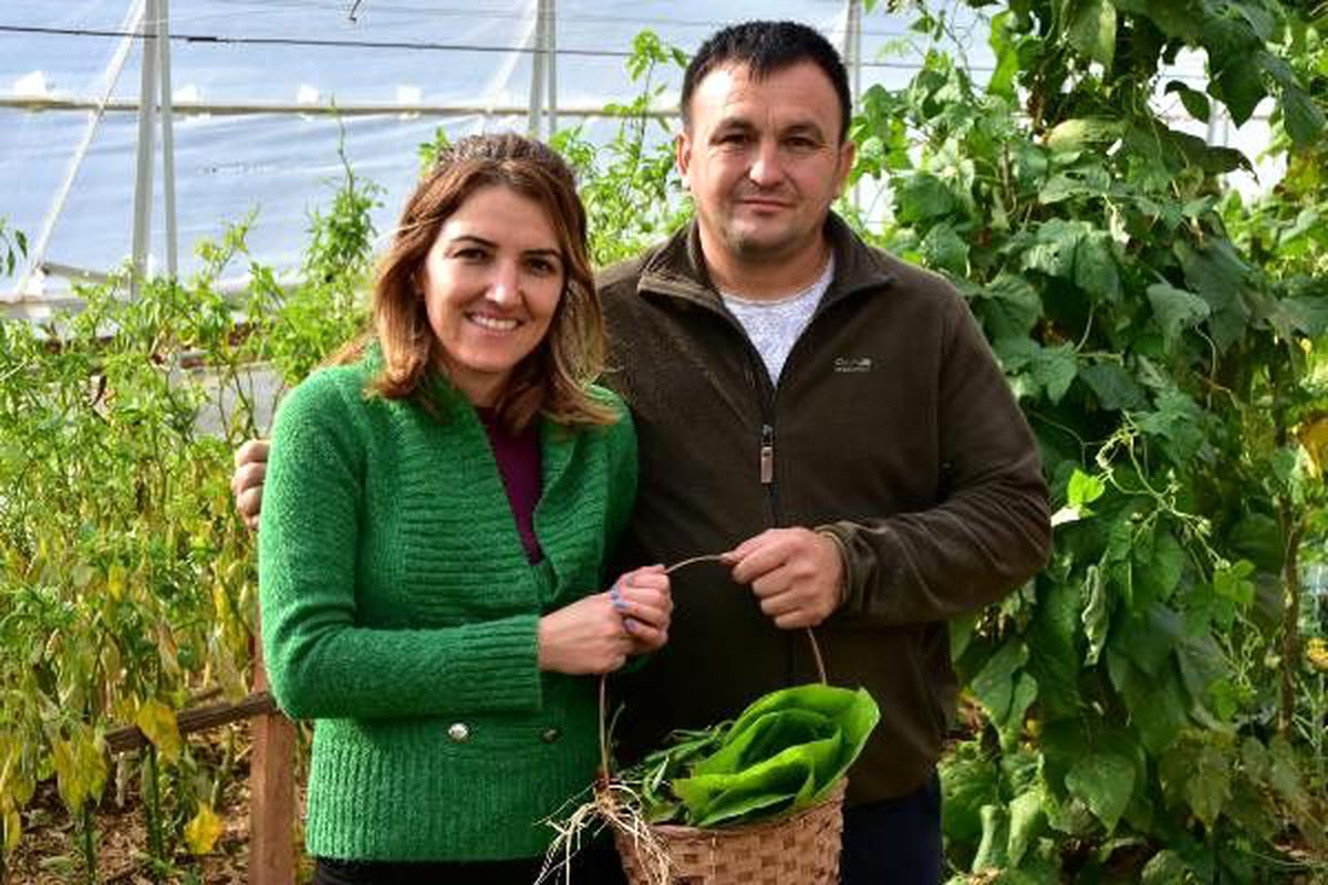 Hayalini gerçekleştirip, köyüne 10 milyon liralık yatırım yaptı