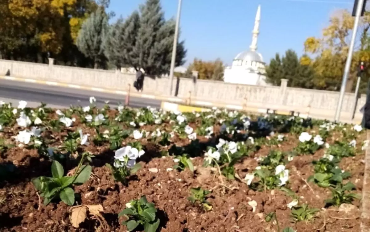 Kavşaklar rengarenk oldu