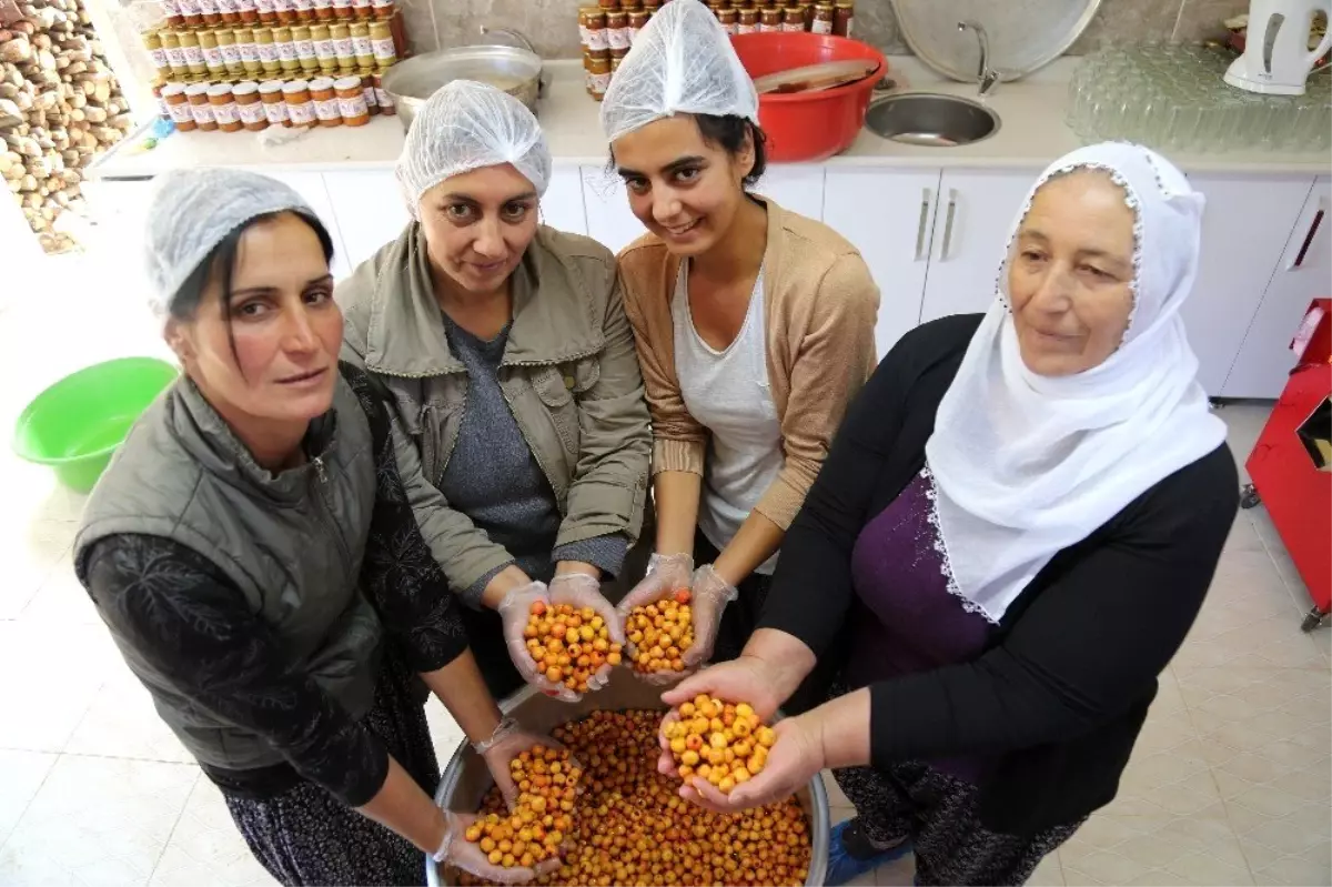 Köyde kadınlar imalathane kurdu, doğal meyvelerle üretime başladı