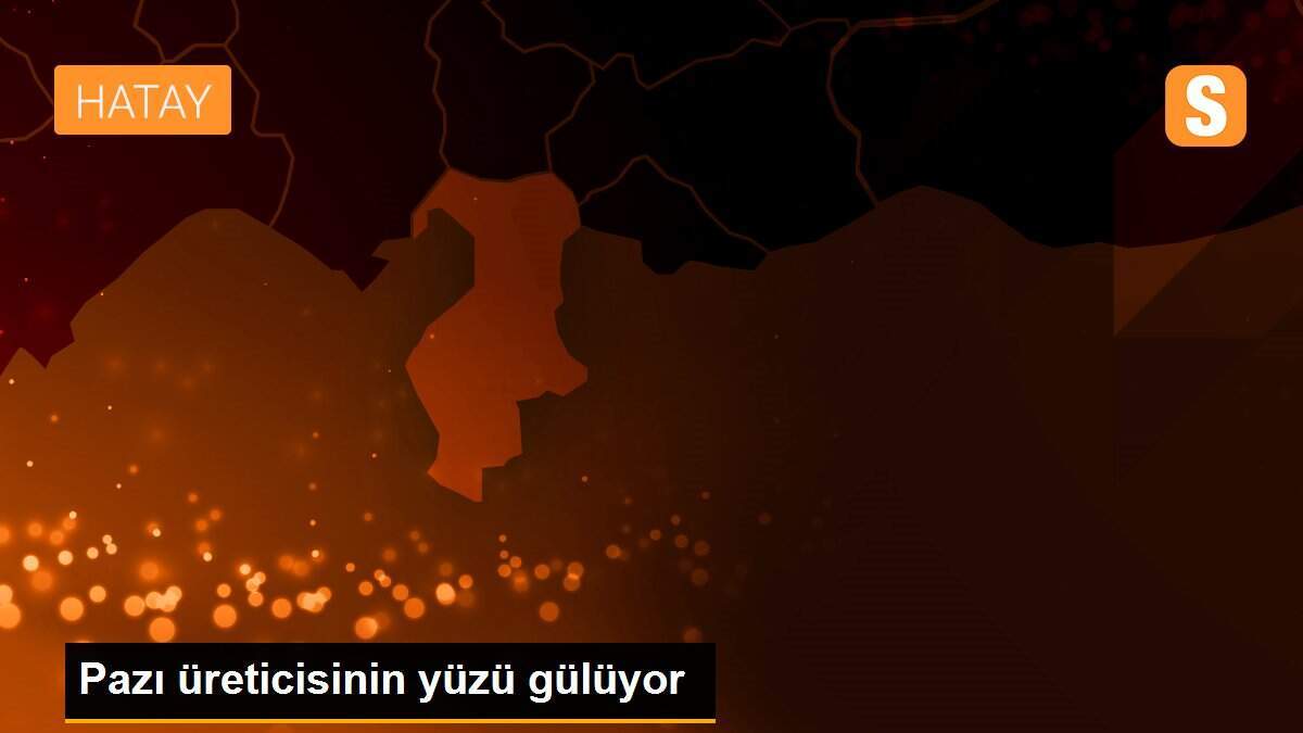 Pazı üreticisinin yüzü gülüyor