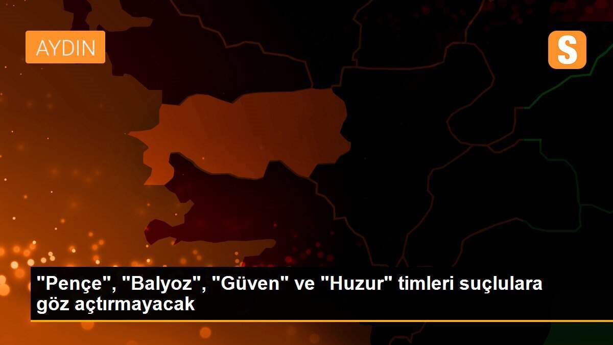 "Pençe", "Balyoz", "Güven" ve "Huzur" timleri suçlulara göz açtırmayacak