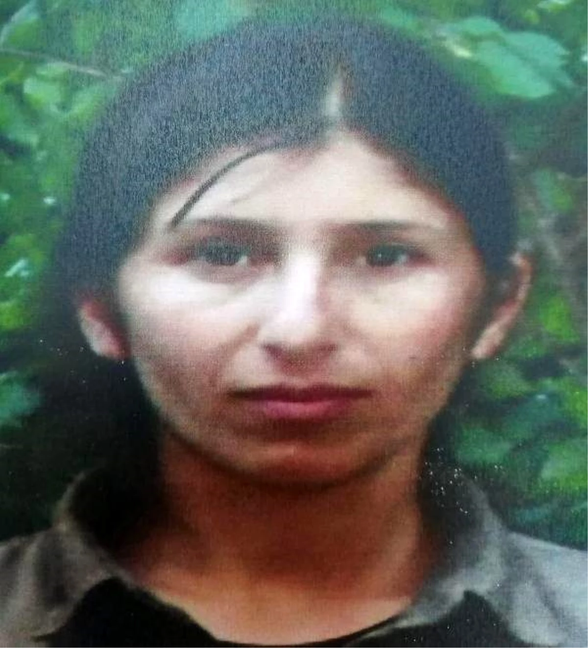 PKK\'nın sözde \'Dersim eyaleti\' konsey üyesi sağ yakalandı