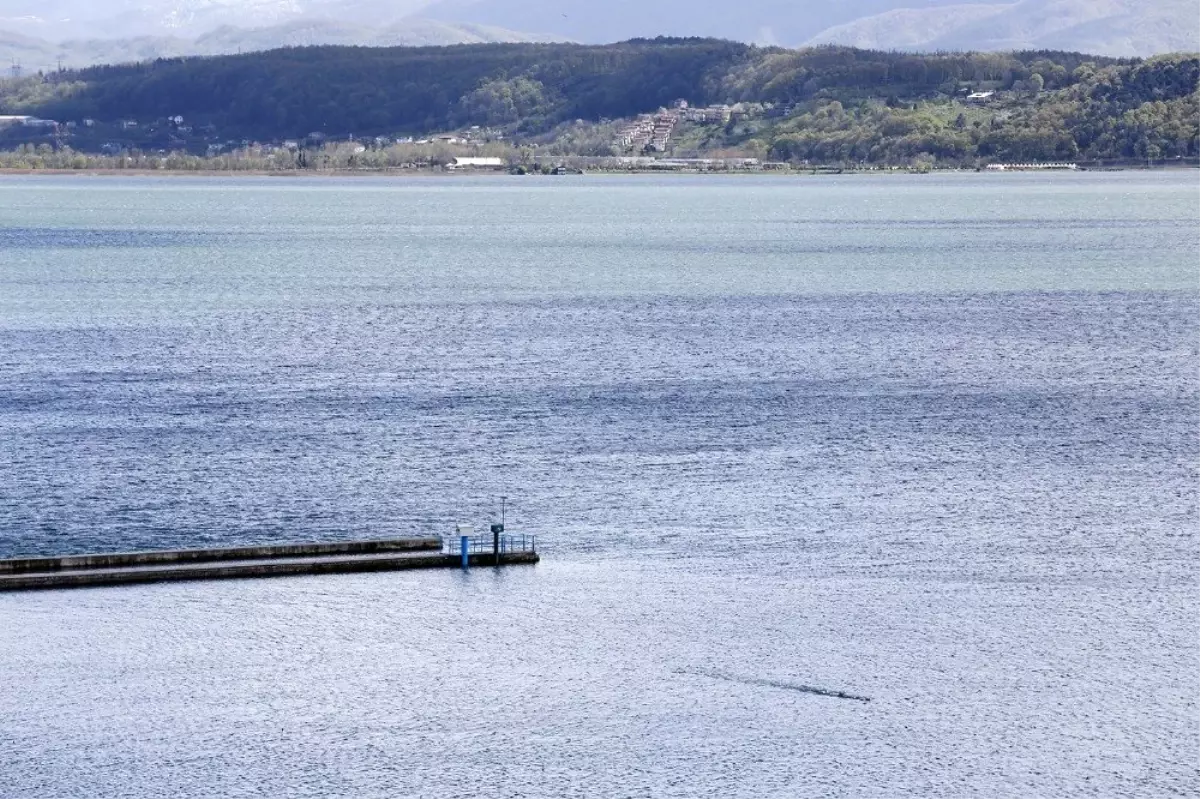 Sapanca Gölündeki su seviyesi normal seviyede