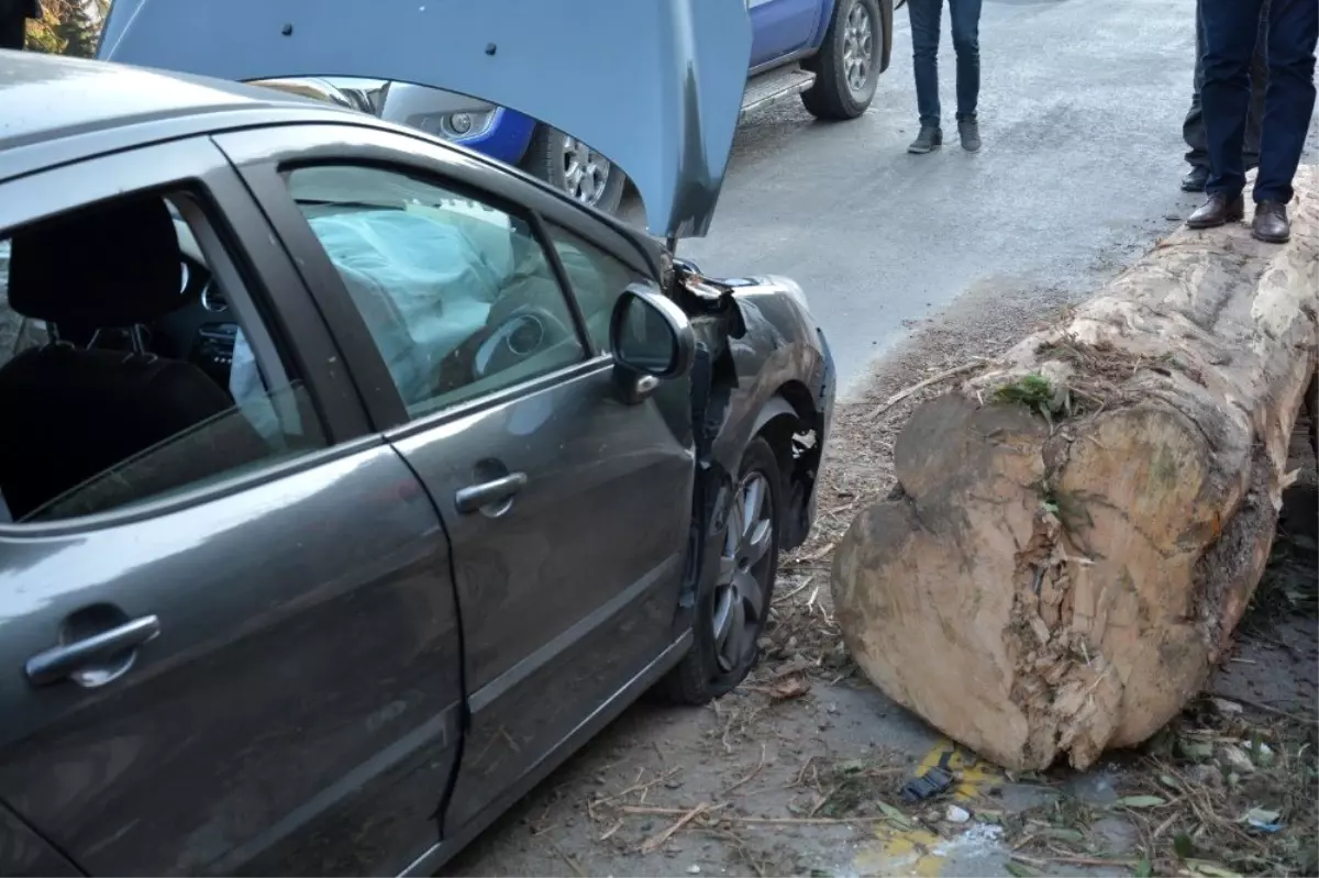 Seyir halindeki otomobile tomruk yuvarlandı