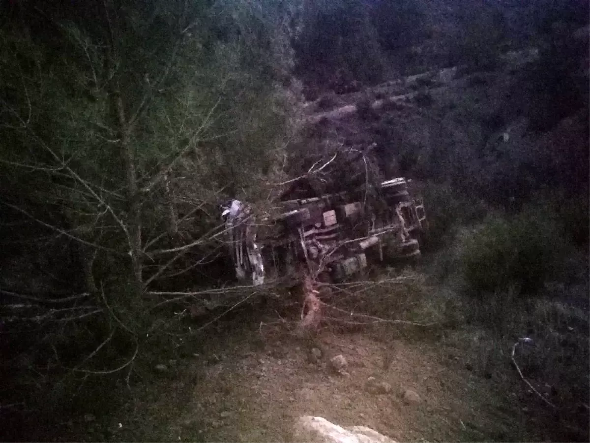 Tekeri patlayan kamyonet takla atıp şarampole uçtu