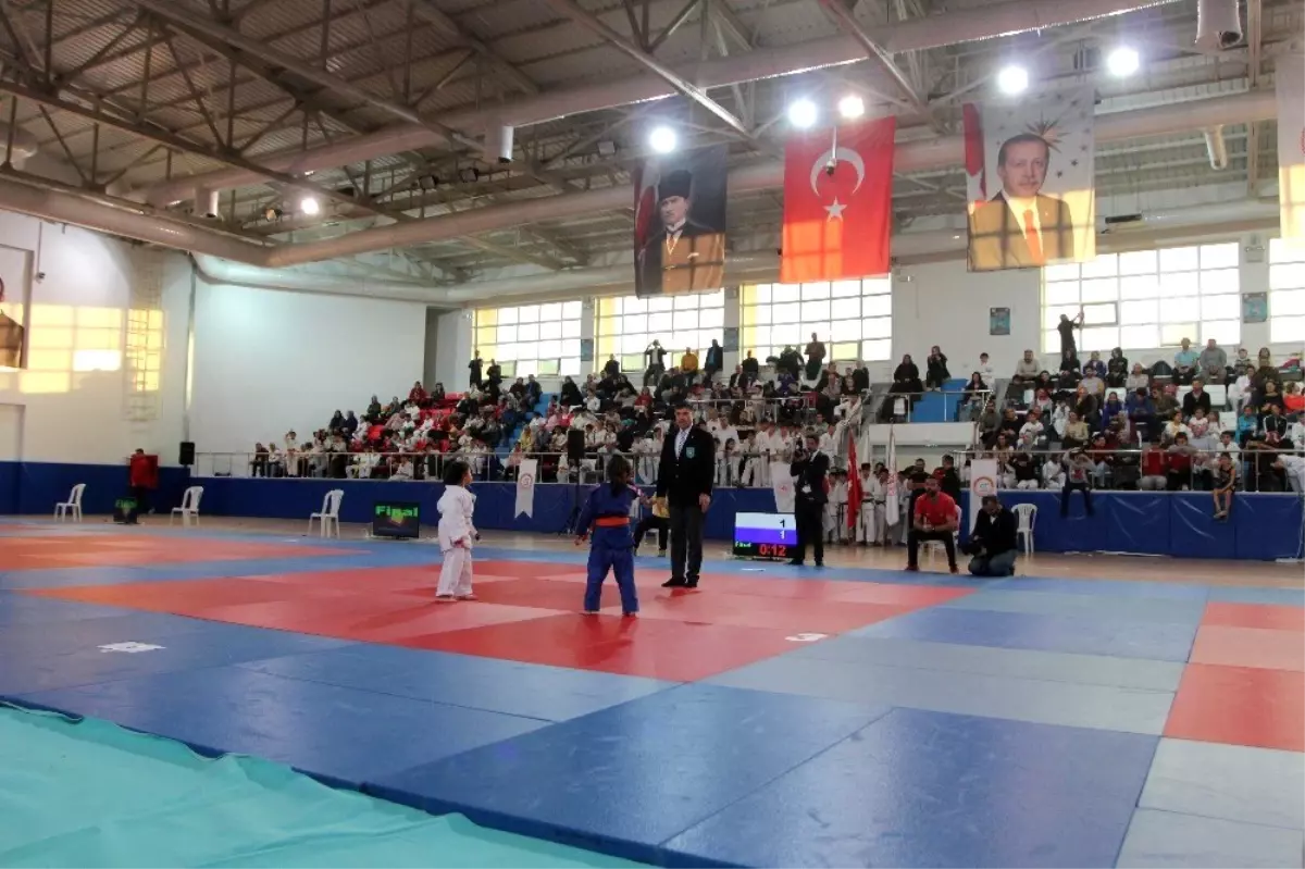 Türk Judosu yuvasına kavuştu