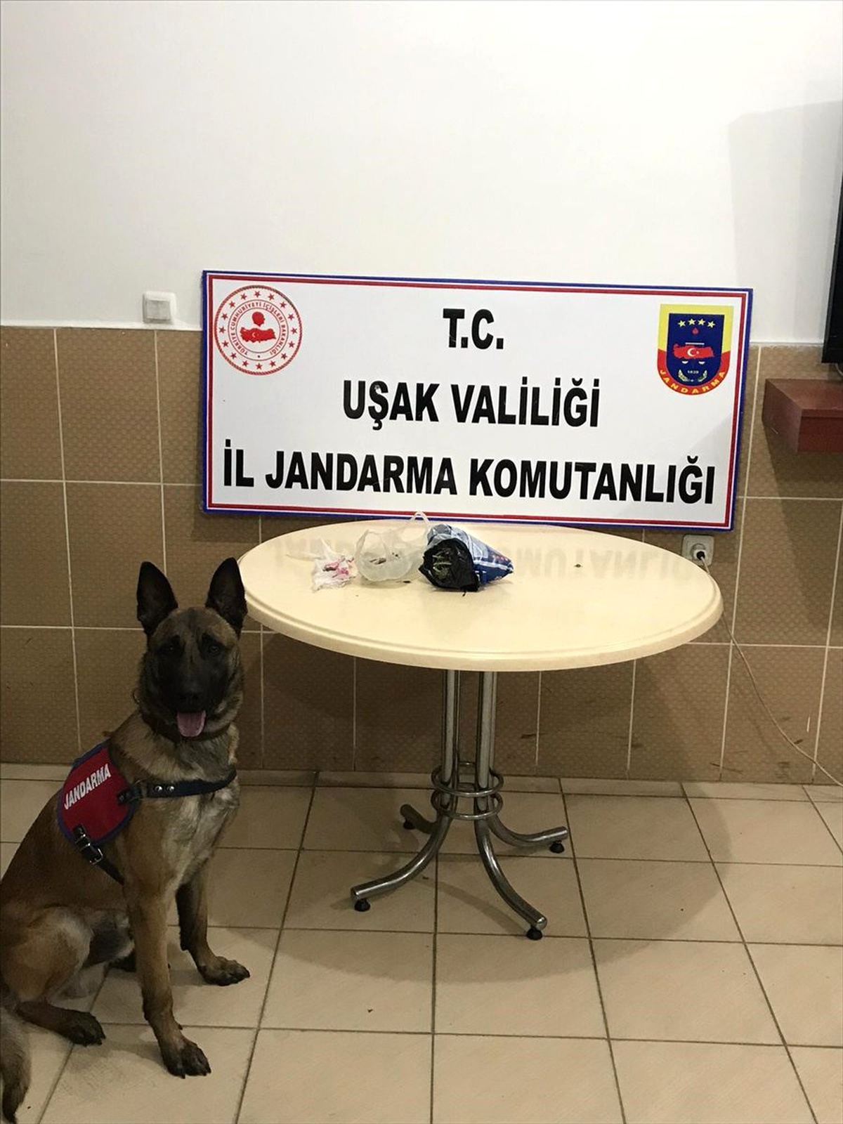 Uşak\'taki uyuşturucu operasyonunda 1 şüpheli tutuklandı