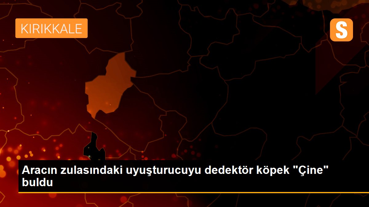 Aracın zulasındaki uyuşturucuyu dedektör köpek "Çine" buldu