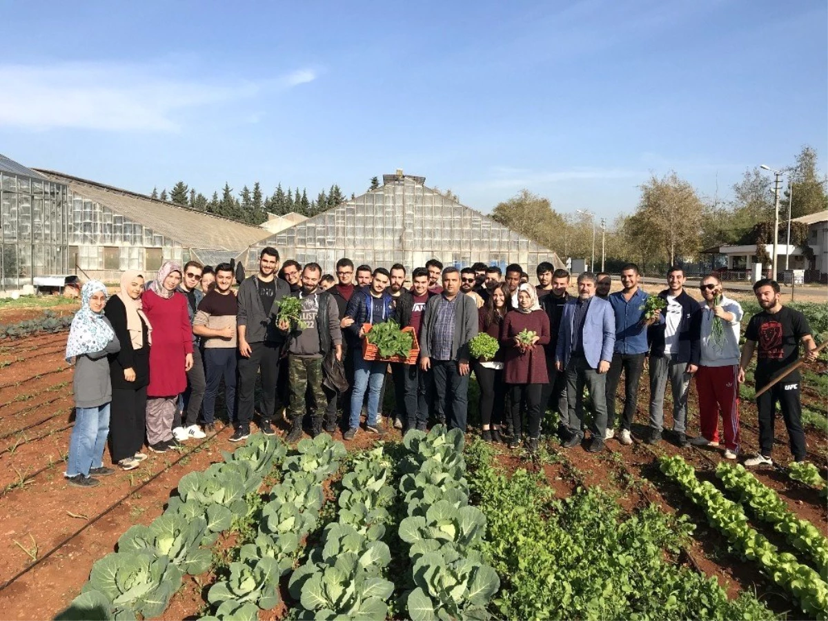 Bahçe Bitkileri Öğrencileri sebzeleri kendileri üretiyorlar