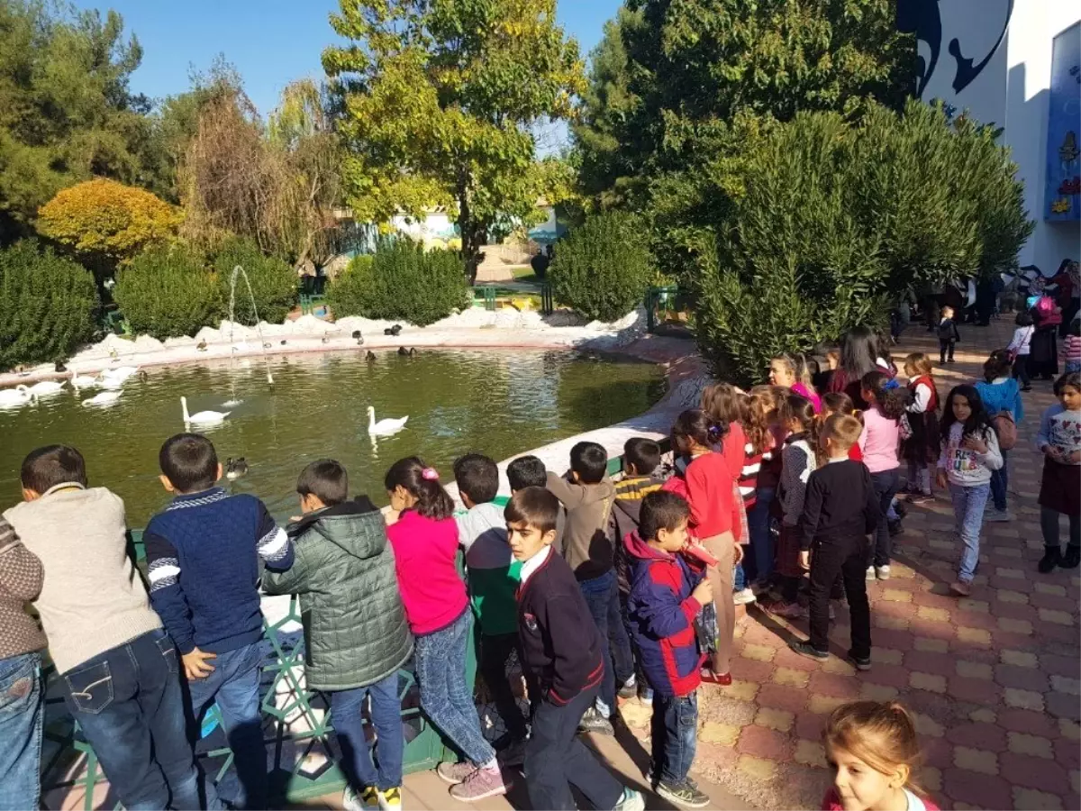 Birecikli öğrenciler ara tatilde hayvanat bahçesini gezdi