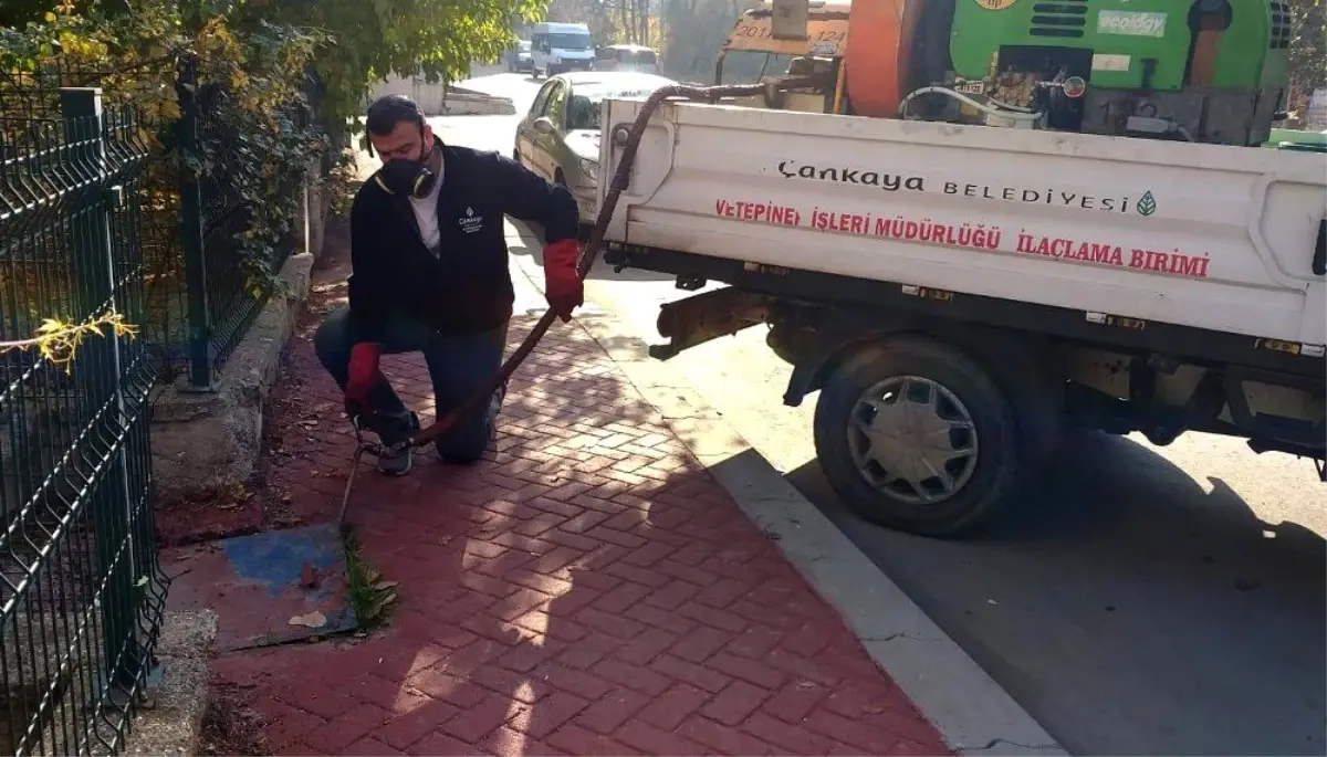 Çankaya\'da ilaçlama kışın da devam edecek