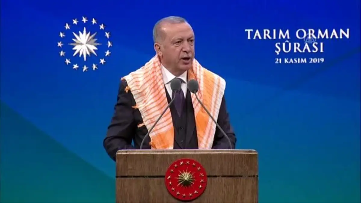 Cumhurbaşkanı Erdoğan: "Önümüzdeki yıl yaş çay alım miktarı 650 bin tona, kuru çay satışı da 115...