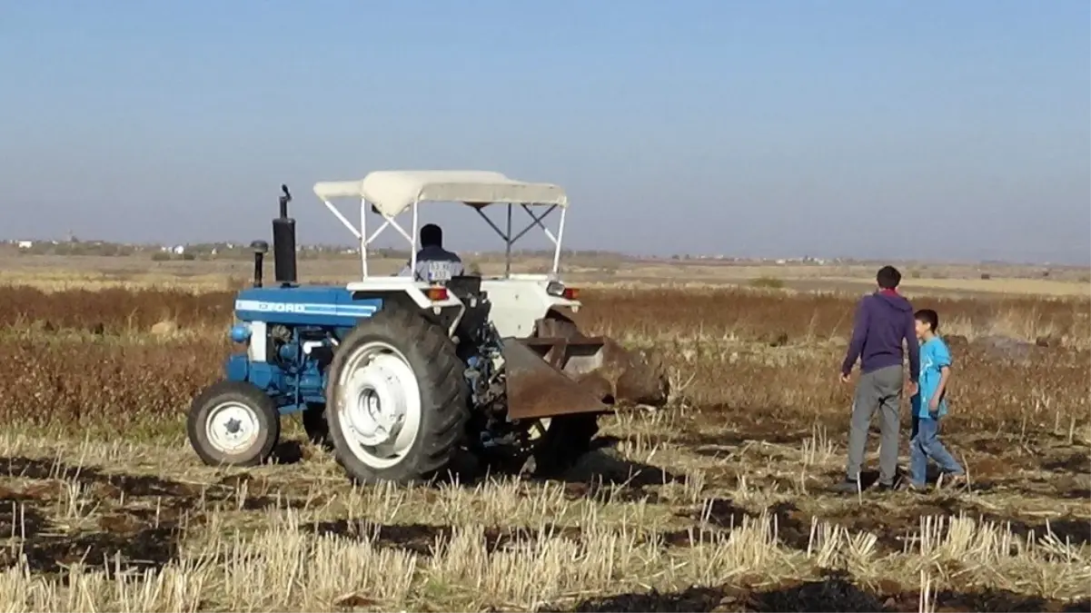 Diyarbakır\'da buğday ekim mesaisi sürüyor