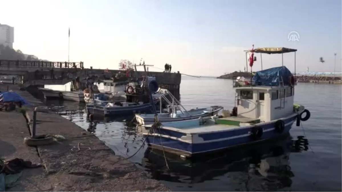 Hamsi yoğunluğunun 2 ay daha sürmesi bekleniyor