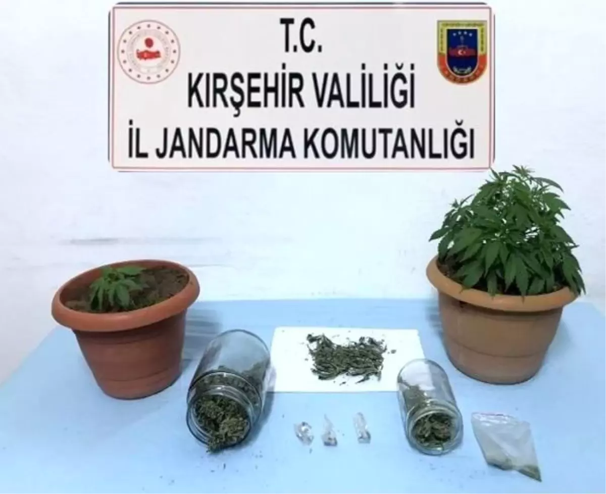 Jandarma Mucur ilçesinde kubar esrar ele geçirdi