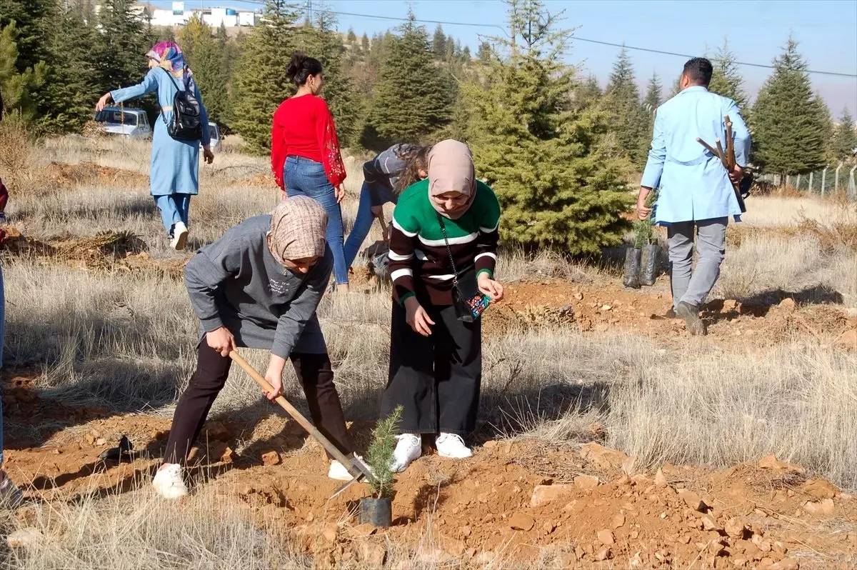 Afşin\'de üniversite öğrencileri bin 500 fidan dikti