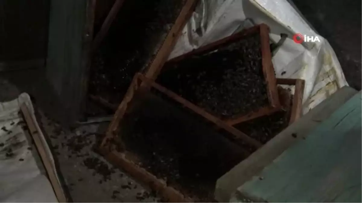 Arı kovanı yüklü kamyonet kaza yaptı, tüm arıcılar yardım için seferber oldu