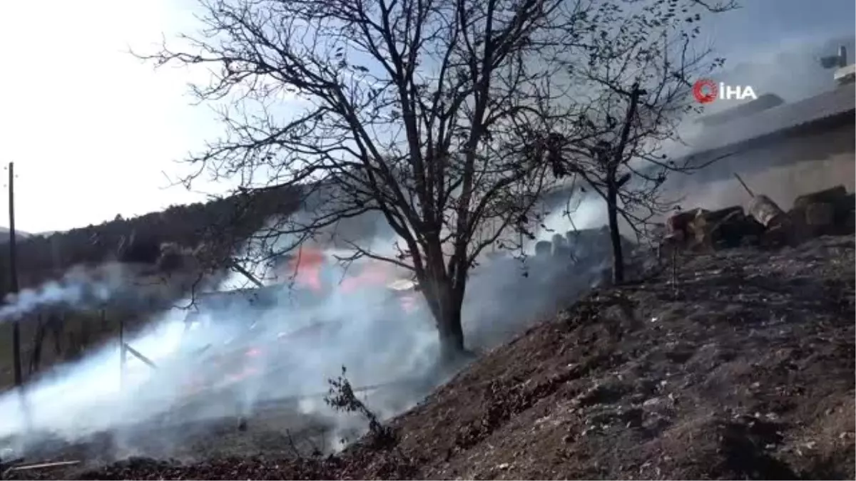 Bolu\'da, samanlık yangınında yüzlerce tavuk telef olmaktan kurtarıldı