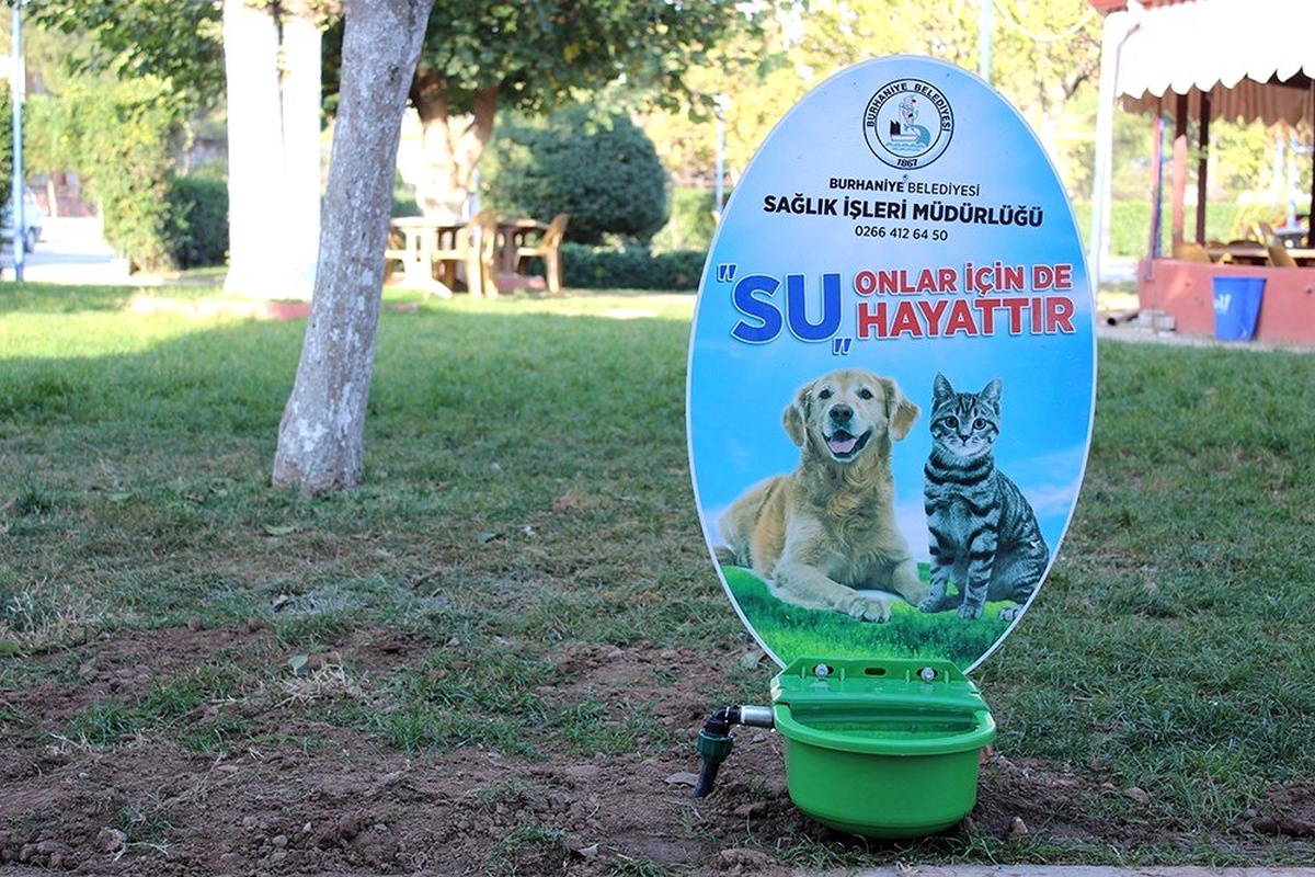 Burhaniye\'de sokak hayvanlarına suluk