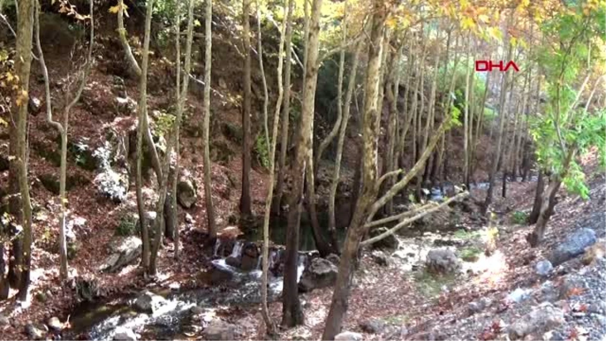 Gaziantep-saklı cennet idilli vadisi\'nde sonbahar güzelliği