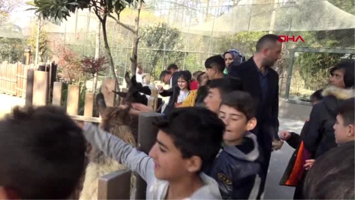 Kocaeli erzurum\'dan darıca\'ya gelen öğrenciler hayvanat bahçesini gezdi