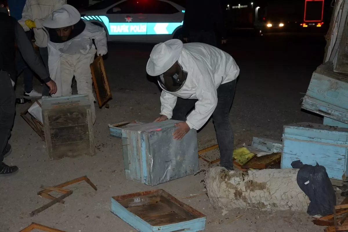 Şanlıurfa\'da arı kovanı yüklü kamyonetle tır çarpıştı: 1 yaralı