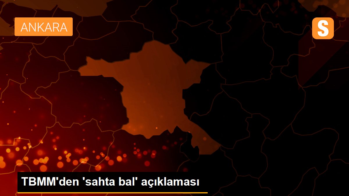 TBMM\'den \'sahta bal\' açıklaması