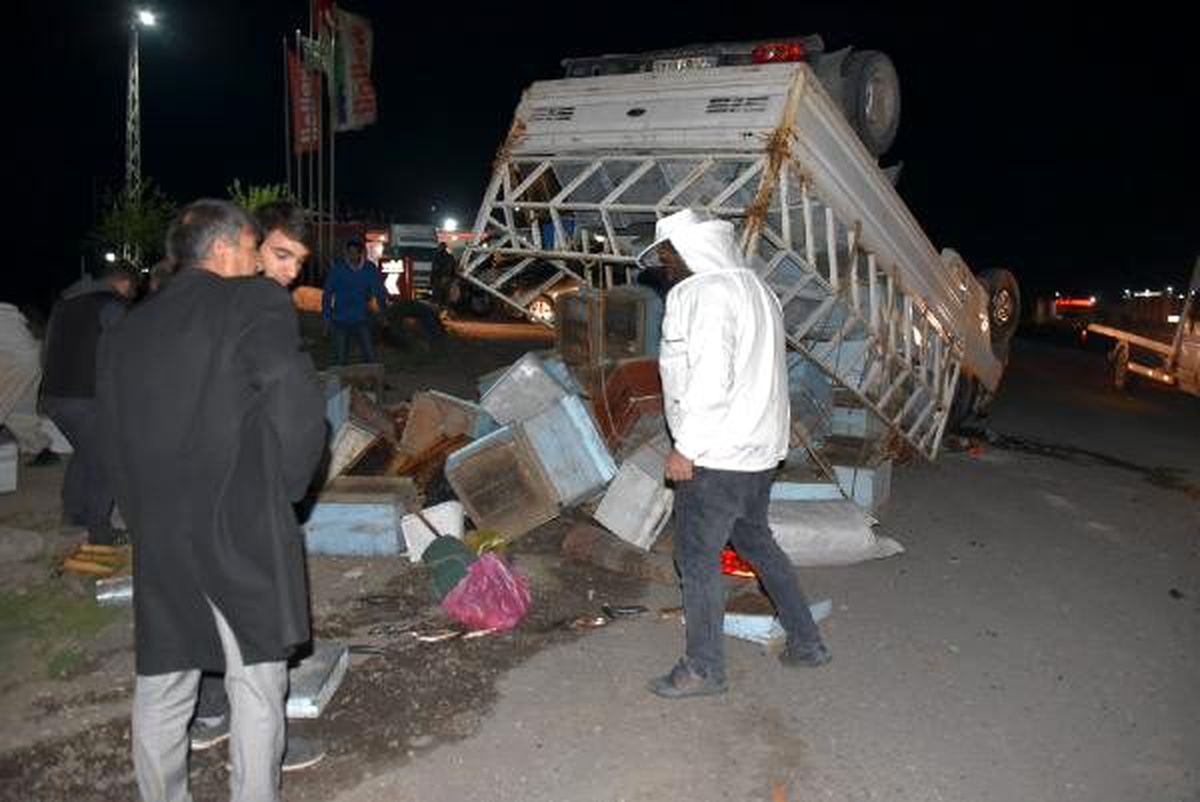 TIR\'la çarpışan arı kovanı yüklü kamyonetin sürücüsü yaralandı