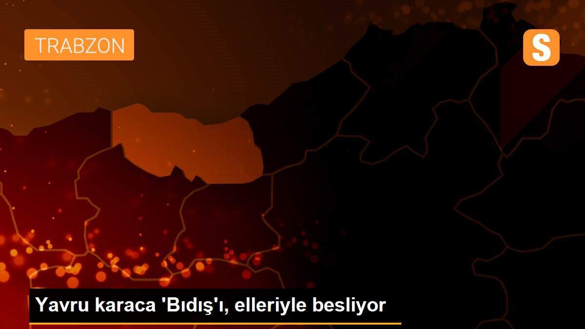 Yavru karaca \'Bıdış\'ı, elleriyle besliyor