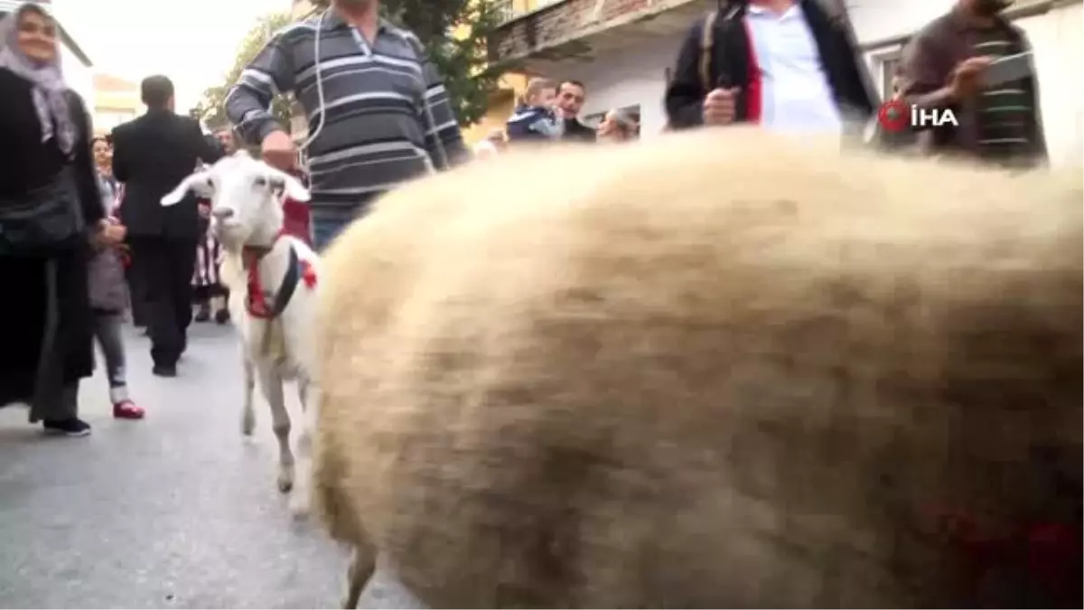 Yayla Şenliği geleneği yaşasın diye hayvanlarla caddelerde yürüdüler