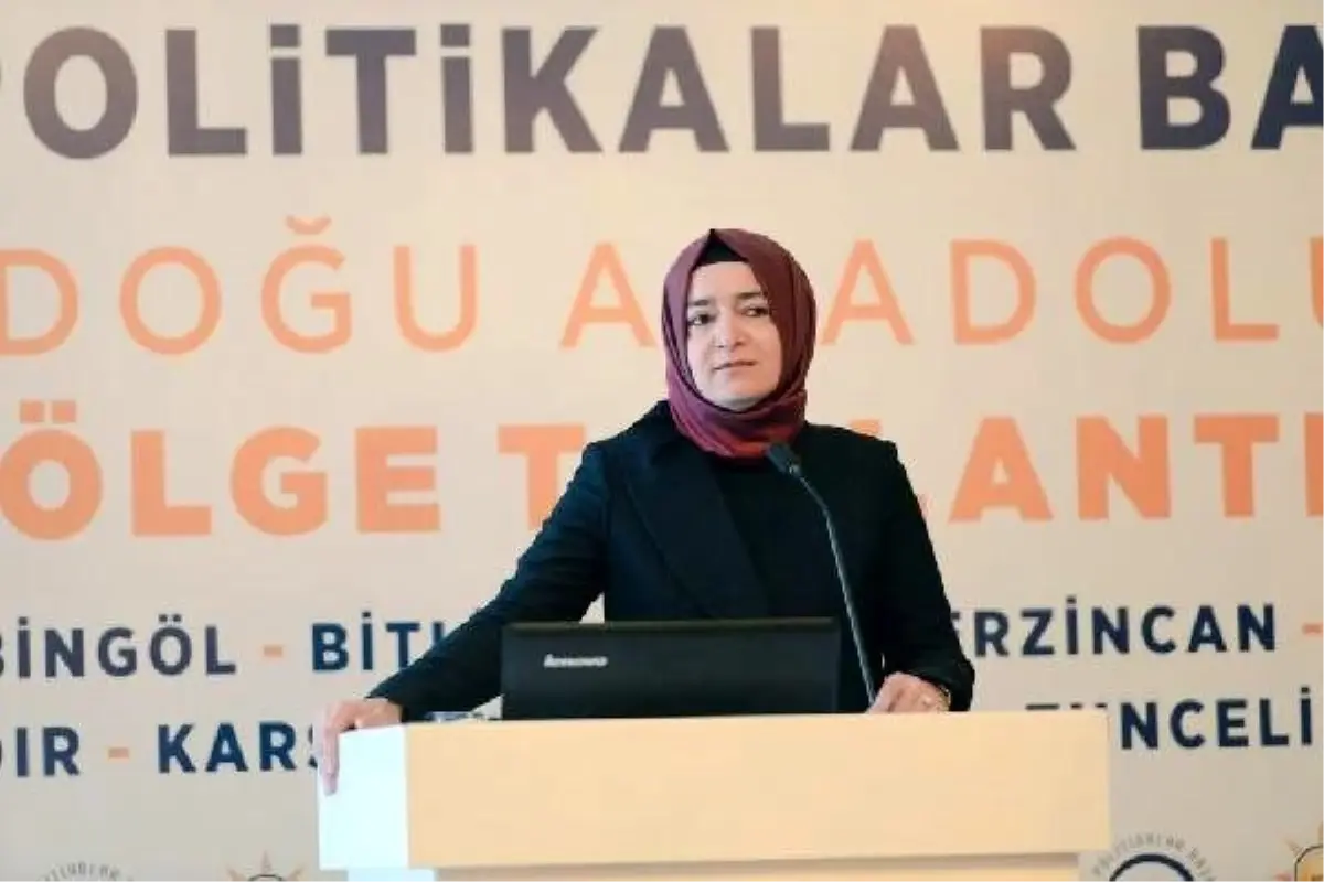 AK Parti Sosyal Politikalar Başkanlığı, Van\'da bölge toplantısı yaptı