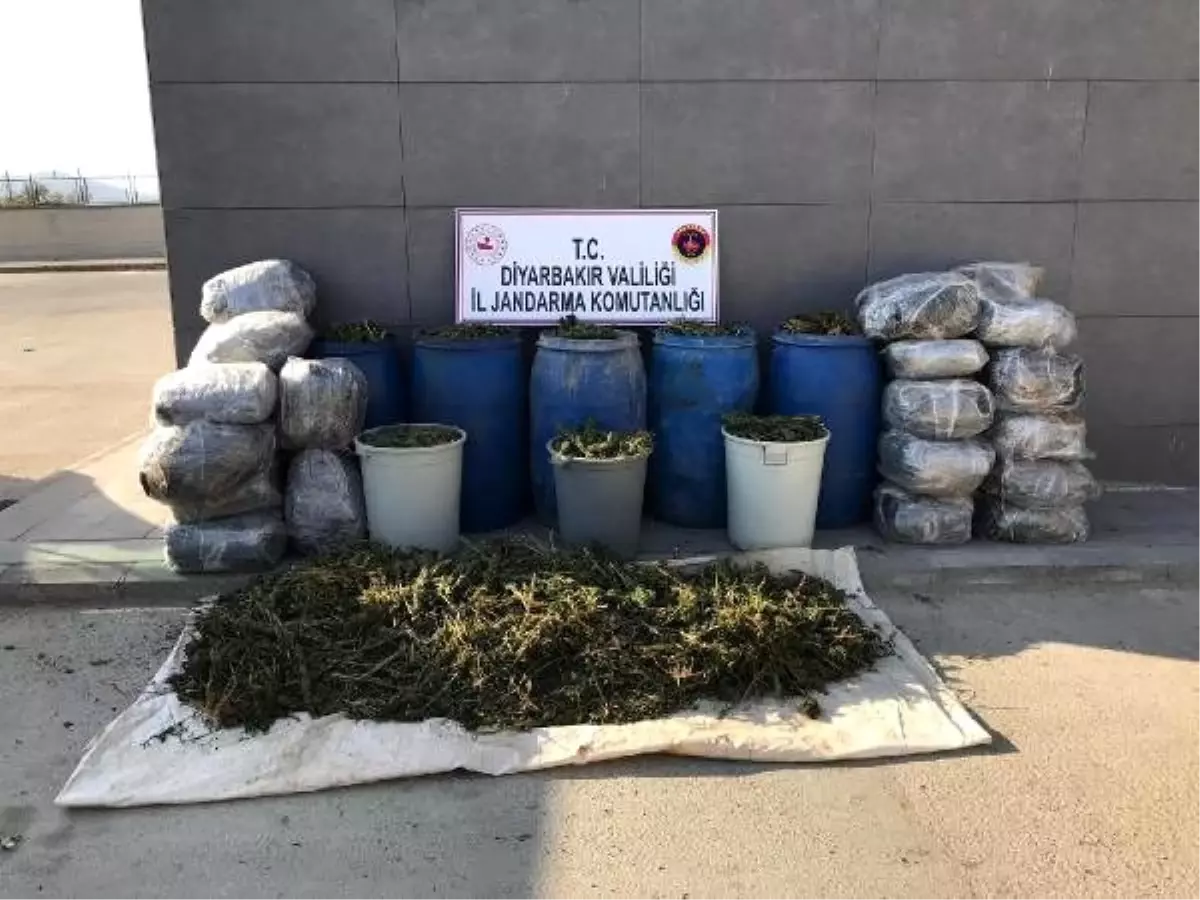 Diyarbakır\'da terör operasyonunda 702 kilo esrar ele geçirildi
