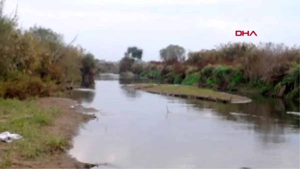 Gediz nehri\'ndeki balık ölümleri araştırılıyor