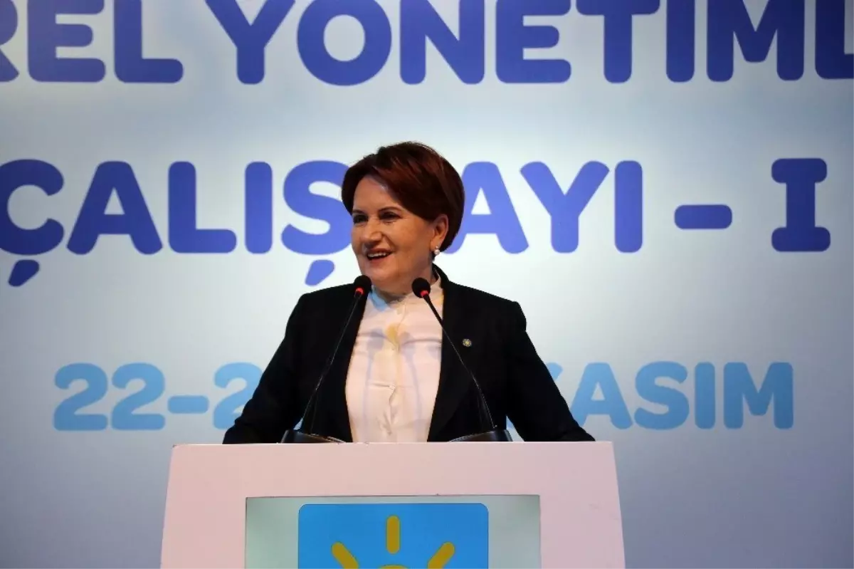 Meral Akşener, İYİ Parti\'nin kuruluş sürecini anlattı: Ev temizlemekten yoruldum, polisler gelirse ayıp olmasın diye