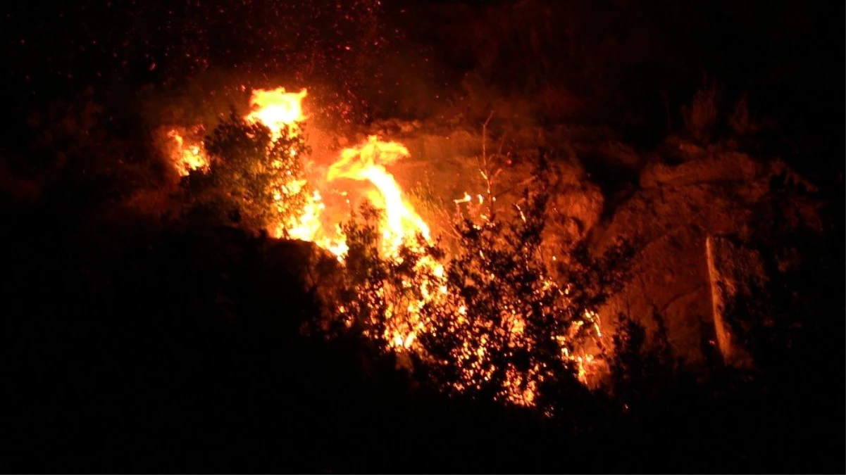 Samandağ\'da tarihi mağaralara yakın yerde çıkan yangın kontrol altına alındı