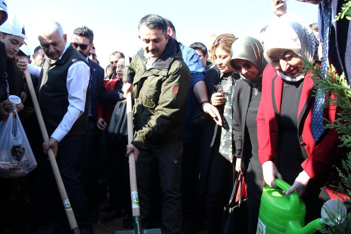 Bakan Pakdemirli ve Binali Yıldırım 850 bin fidanın dikildiği törende buluştu