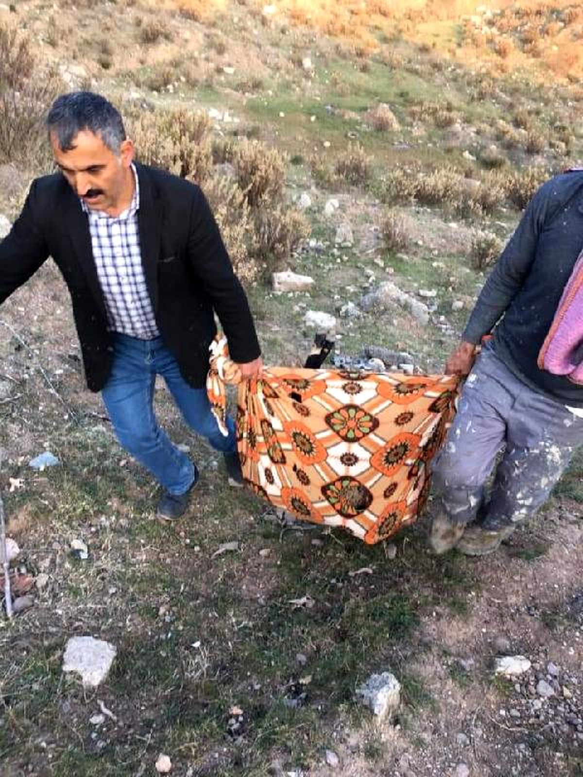 Başıboş köpeklerin saldırdığı 7 koyun öldü