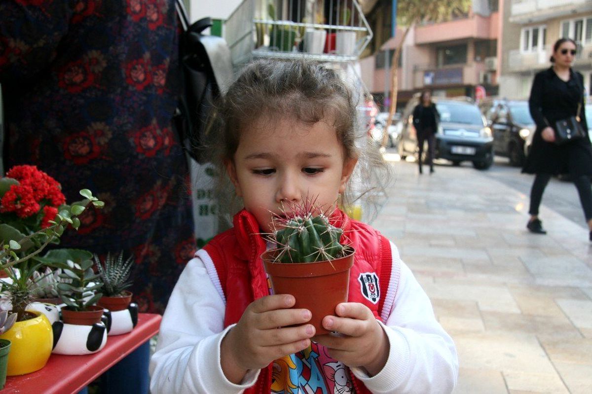Bu aile kendilerini \'kaktüs delisi\' olarak tanımlıyor