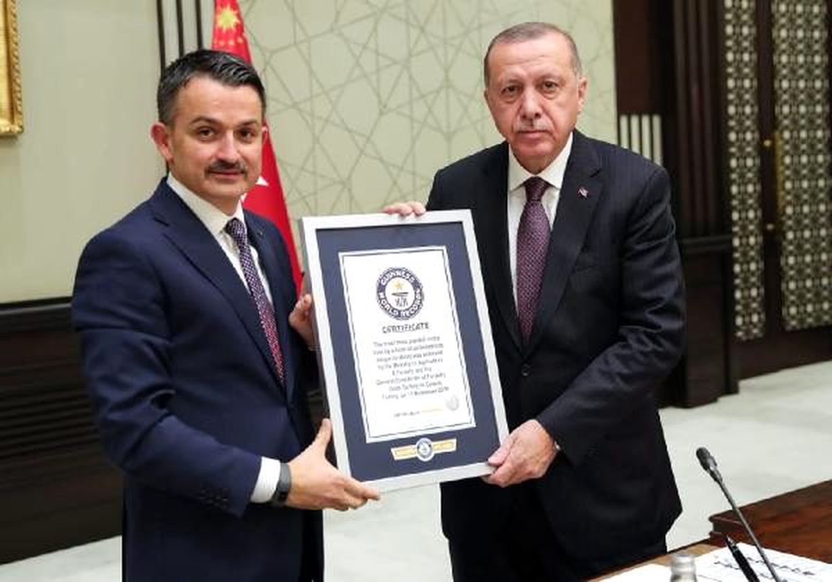 En fazla fidan dikme dünya rekoru belgesi Erdoğan\'a verildi