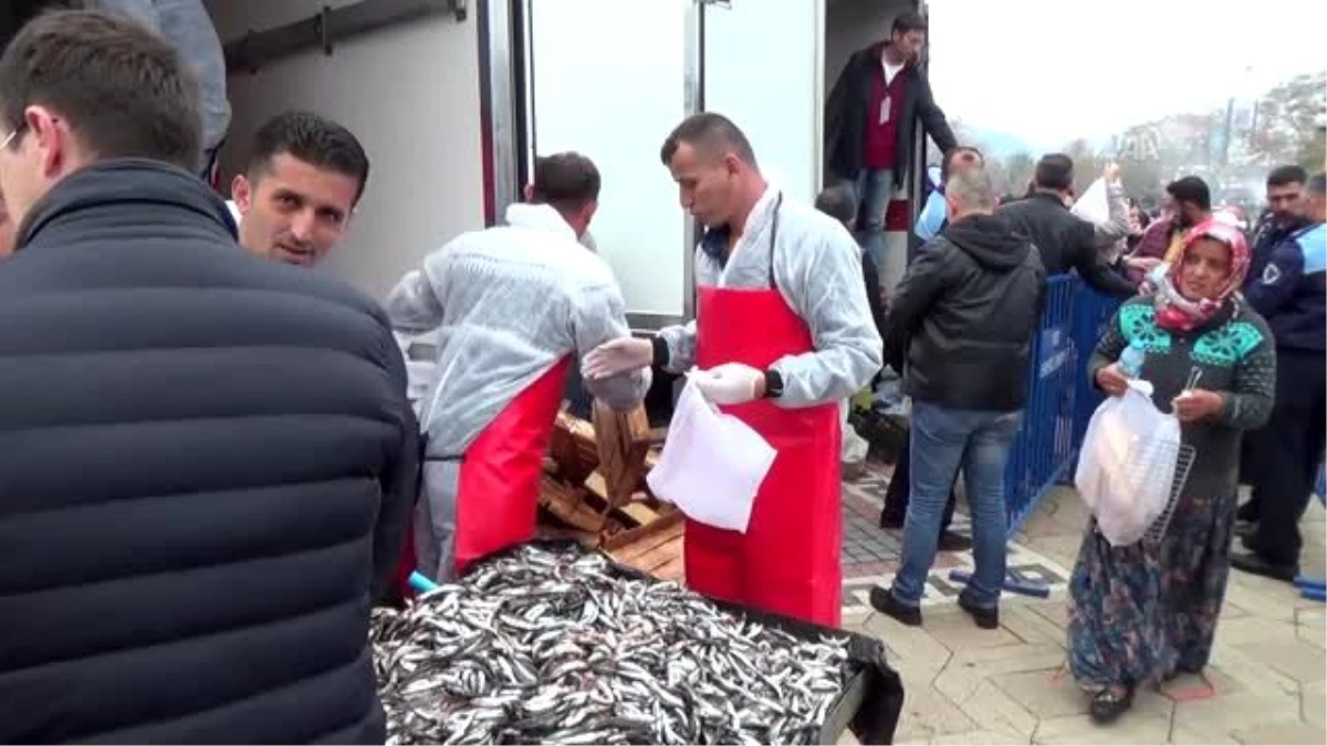 Hamsi festivalinde 10 ton balık dağıtıldı - ZONGULDAK