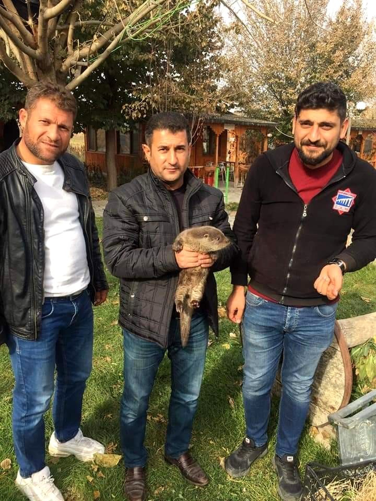 Muş\'ta vatandaşlar tarafından bulunan yavru su samuru, doğal yuvasına bırakıldı
