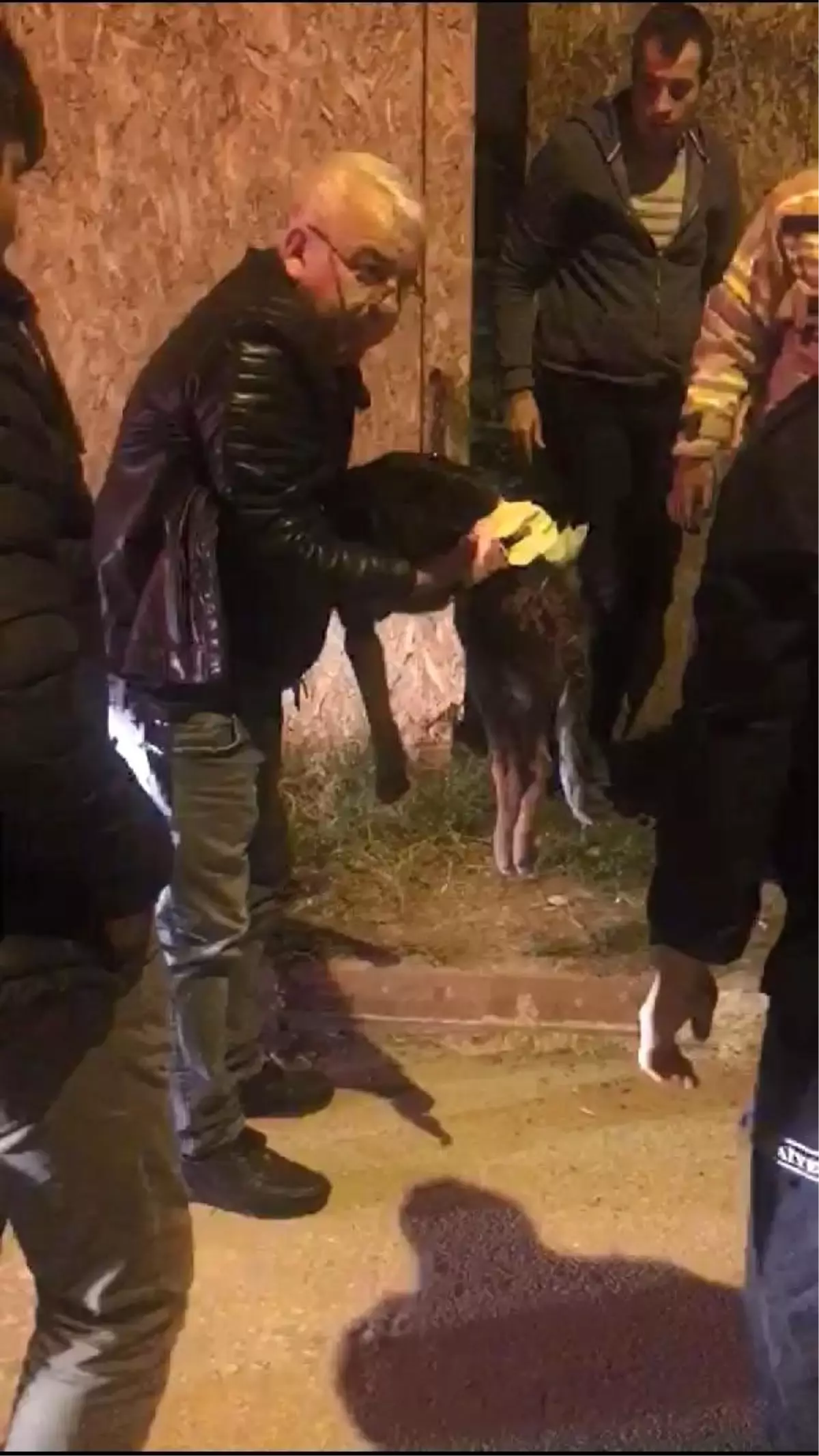 Sıkışan yaralı sokak köpeğini, itfaiye kurtardı