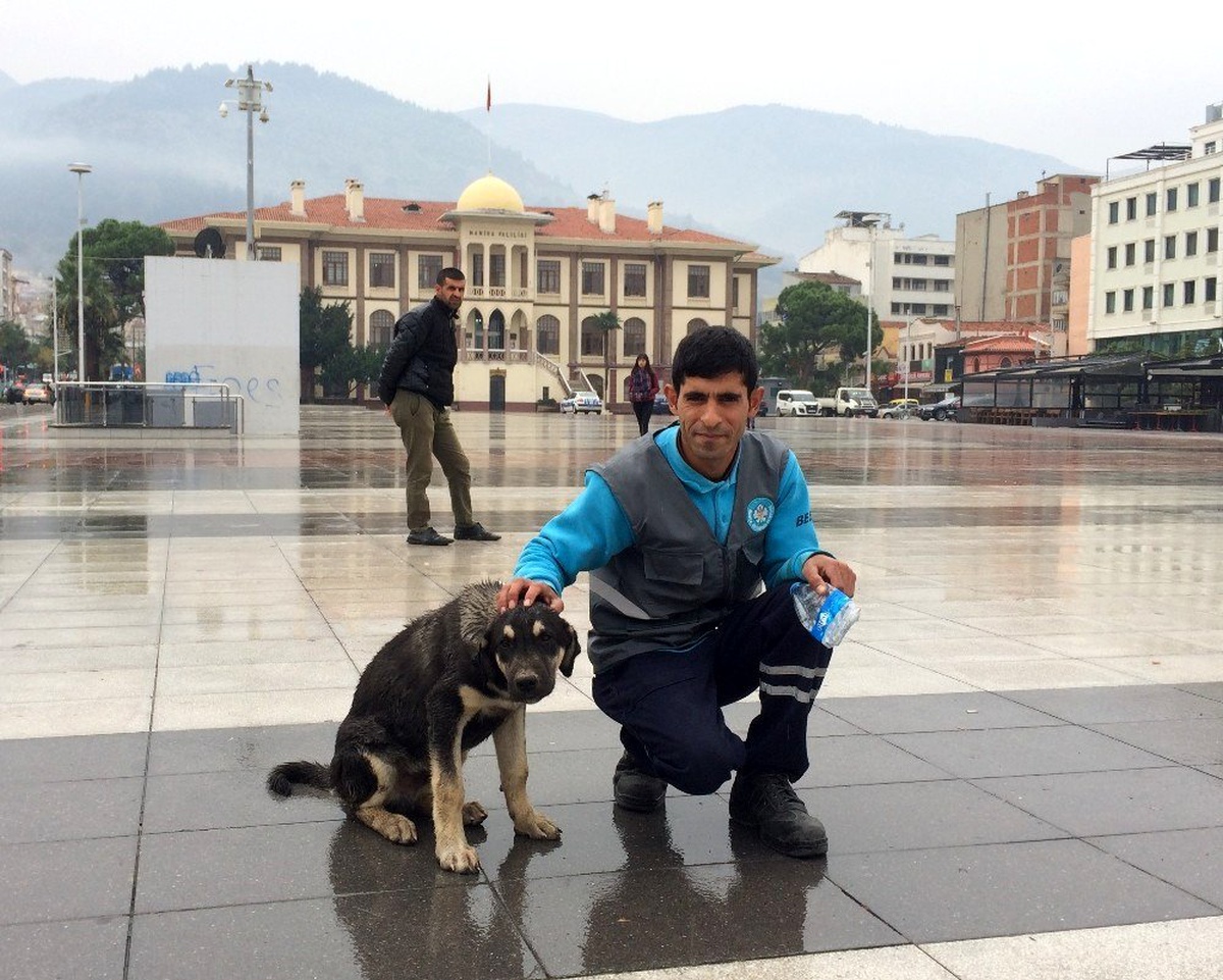 Temizlik işçisi ile sokak köpeğinin kıskandıran dostluğu