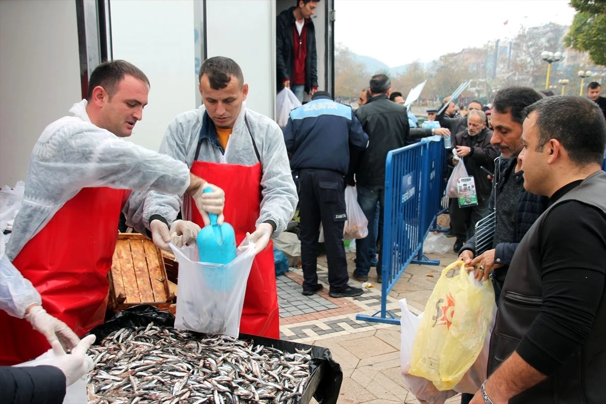 Zonguldak\'ta düzenlenen hamsi festivalinde 10 ton balık dağıtıldı