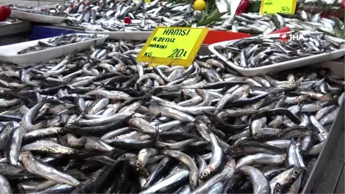 Balıkçı tezgahlarının vazgeçilmezi hamside fiyatlar düşüyor