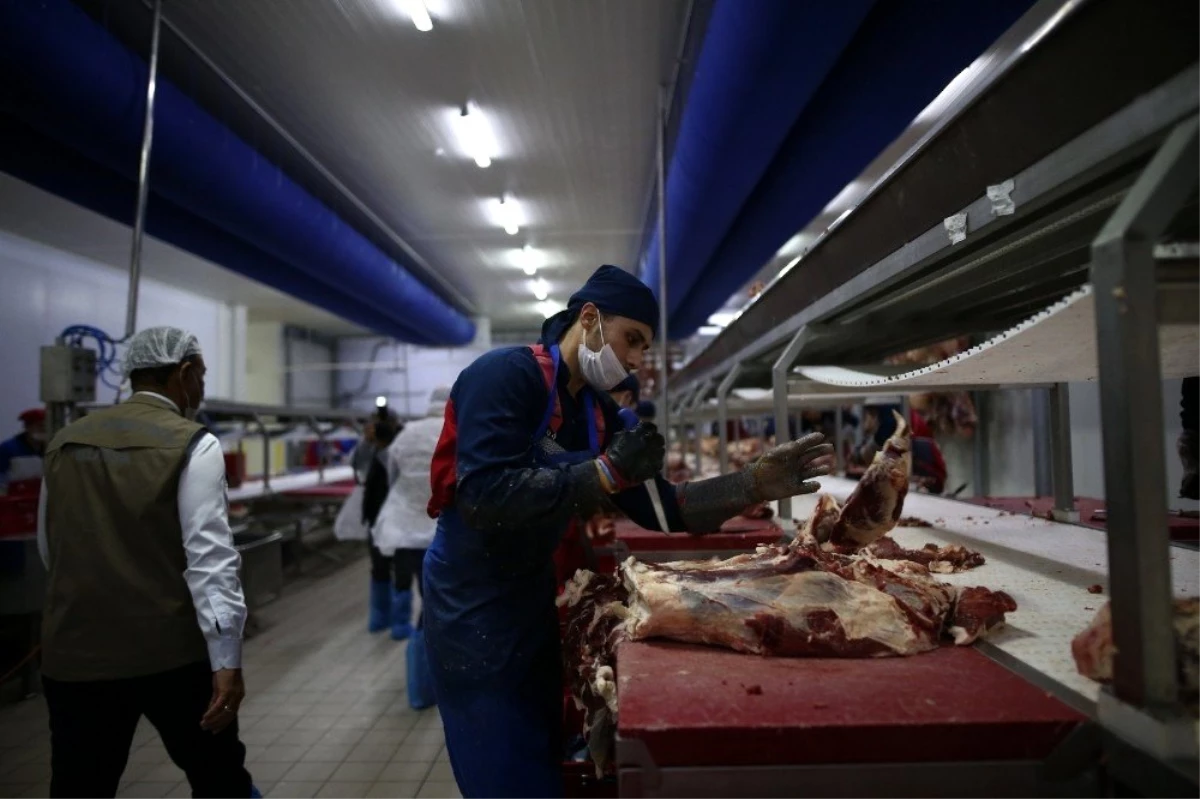 Bursa\'da uygunsuz gıda üreten 491 firmaya 4 milyon 300 bin lira ceza kesildi