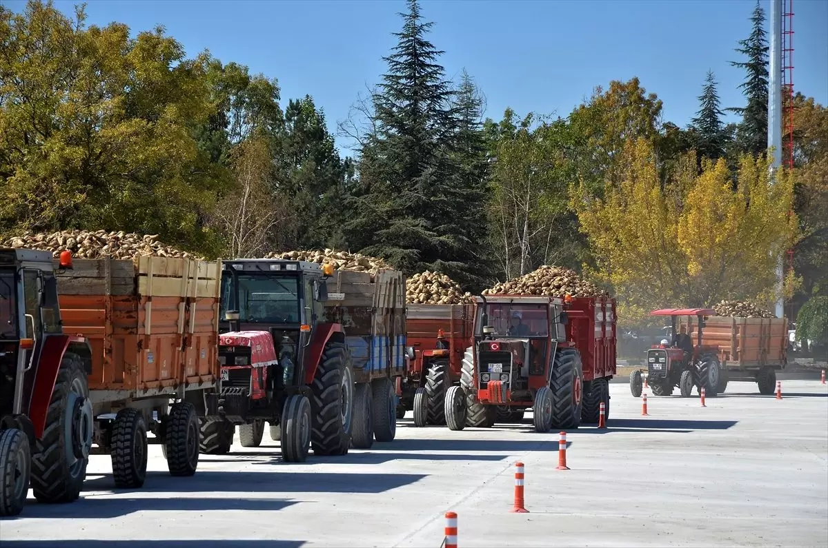Çorum Şeker\'den çiftçi ve nakliyecilere 80 milyon liralık ödeme